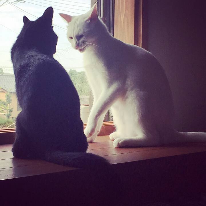 A61f8356 35c8 4be5 8cb9 3ec5cfa896ae