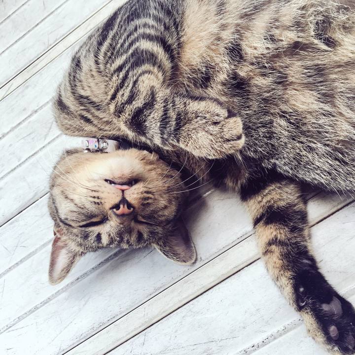 A61fdfe3 bae1 441a a7cf f3048bc94fd4