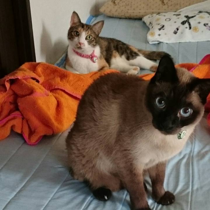 A61ffa2c 4b6a 44a5 b079 94cf5da9eff4