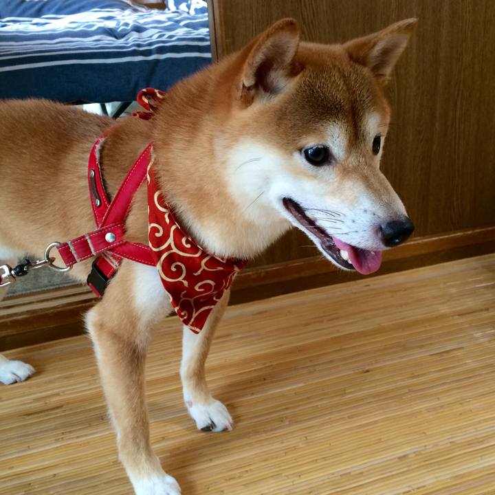 A61ffabe 0a80 4fa3 b9b1 70b0addb8661