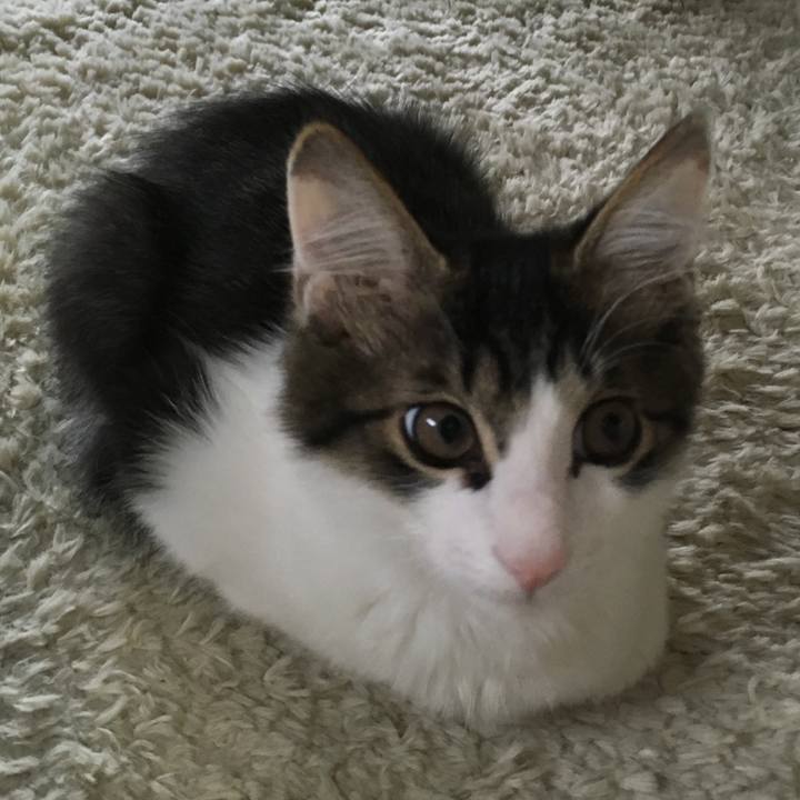 A62008bd 0c2f 4e7e a371 242c705cf1e0