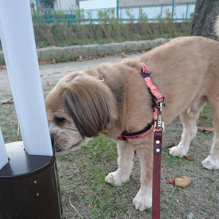 A6200f54 a944 4028 bc26 67cf7b0c04ea