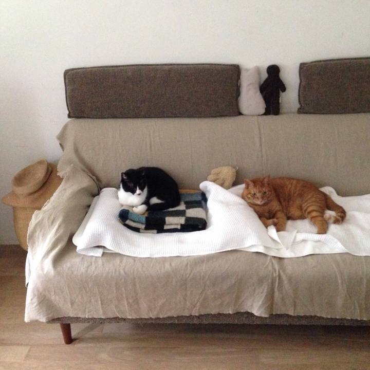 A6206657 565c 4d77 bdd9 da0c8ba4da6e