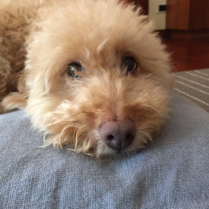 A6213459 c7f8 44e0 9461 6c838da06ed6