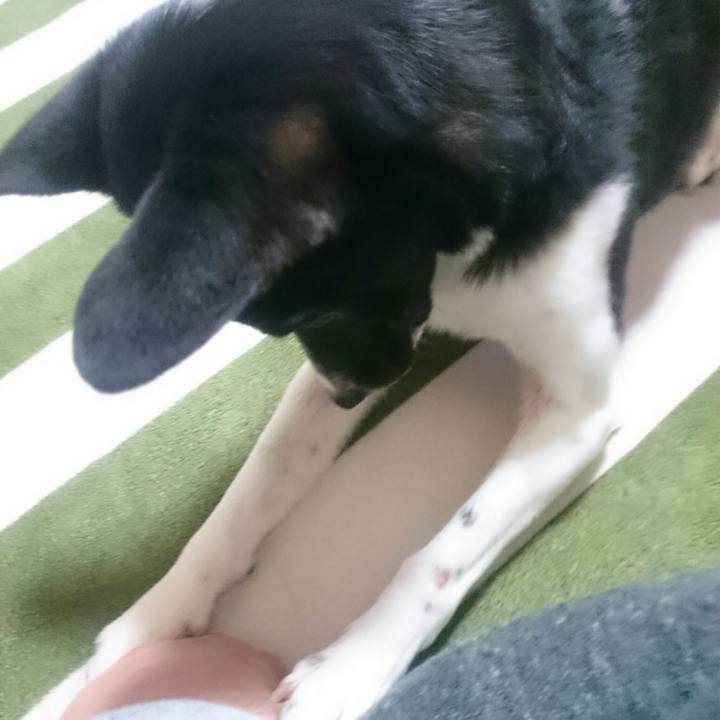 A6216e6f 8a37 455c 9a40 f89238b82302