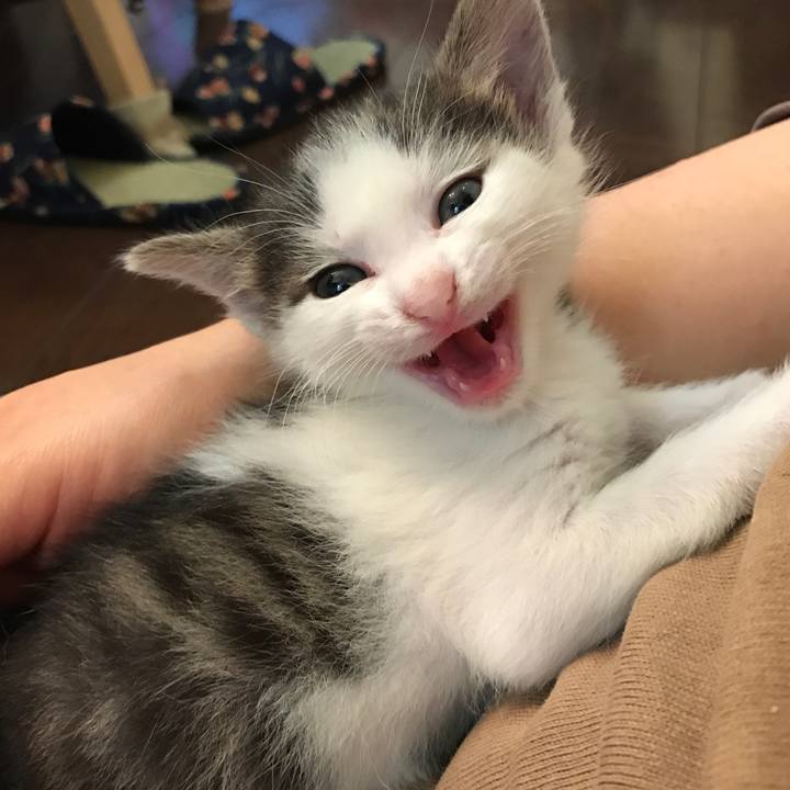 A6218649 55f2 490f 8a7b baf89233092b