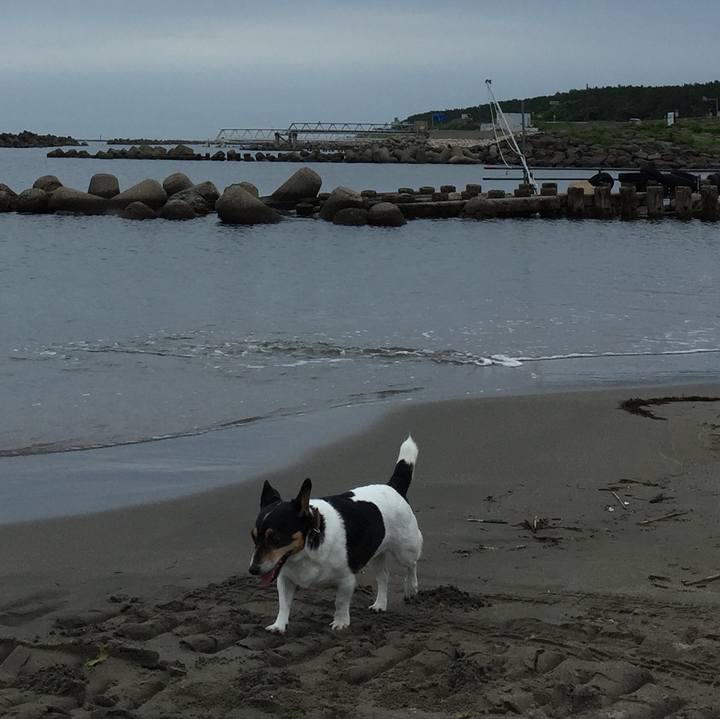 A6228c1c ae9a 42c7 a344 5454ed9759b6