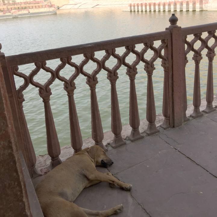 A622dd50 0e25 4b4e 9361 bb42b6d30250