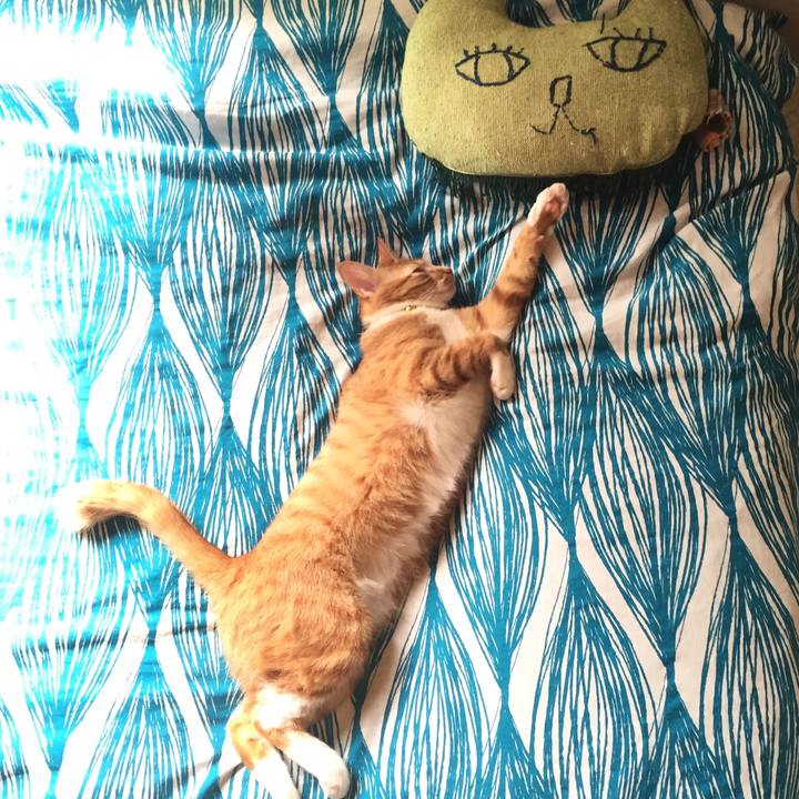 A6238dcc b1f5 4929 9978 476baca524f0