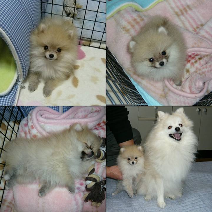 A6241bb5 72a8 4ce7 b525 1d4f85dc0886