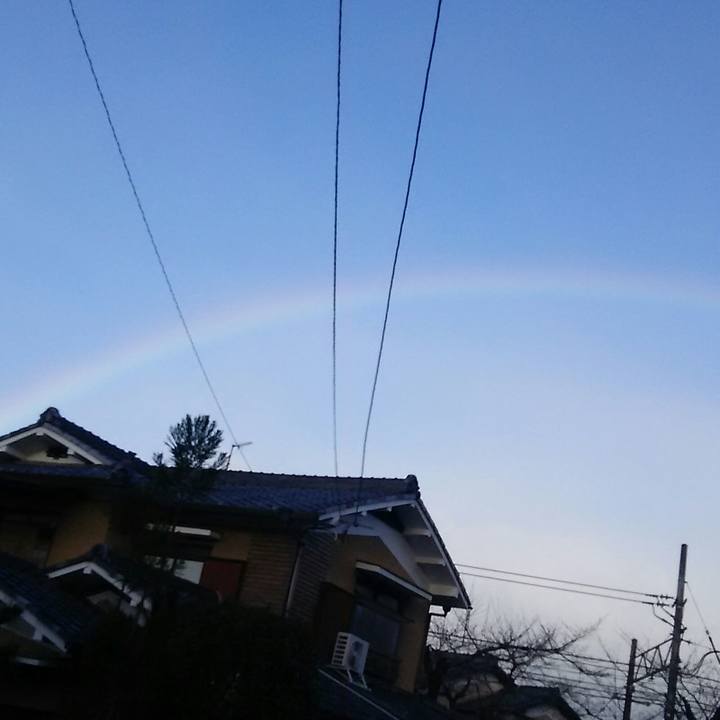 A6243c17 62cb 4a8e a7cf 372096302fc7