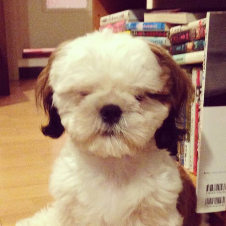 A6245791 c847 4be7 a91d eb0bef02e064