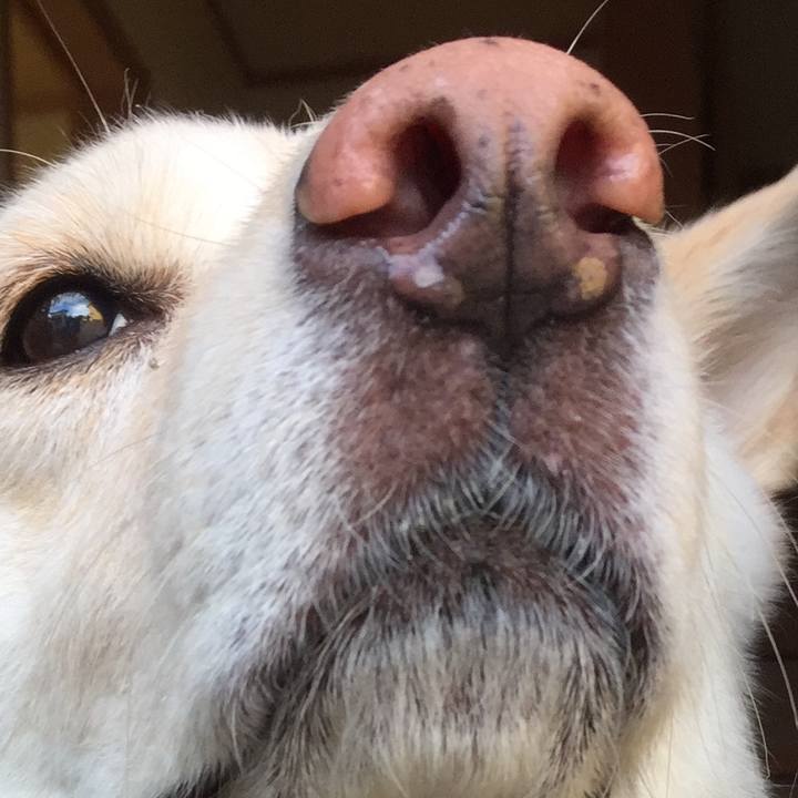 A62467c9 777a 4a20 ab59 8805c382f217