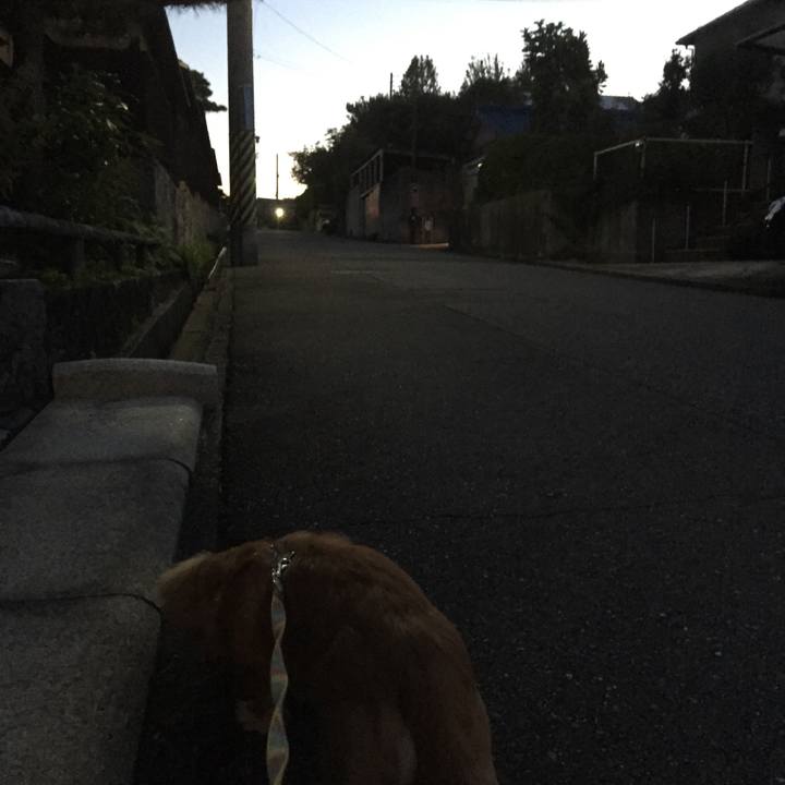 A62564d8 808b 4754 ac05 f4948f2f26de