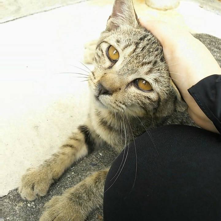 A625cf1a c40b 4a09 abea 8df86ed0ce6a