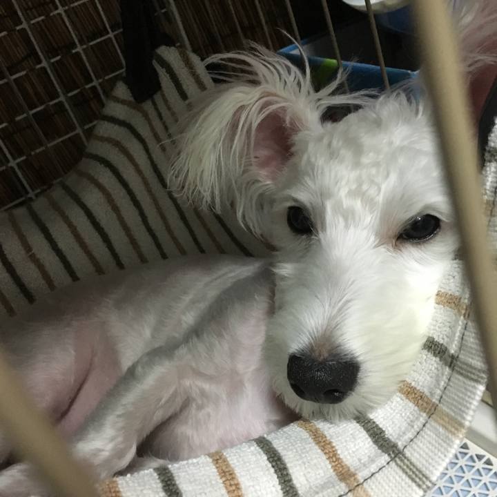 A625e40d e7d7 49f3 aa60 ce57617a3ab1