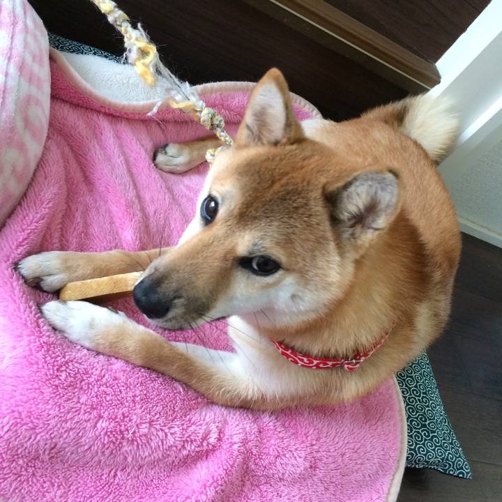 A625f84c a12f 42c8 afcf 0f11913c3baa