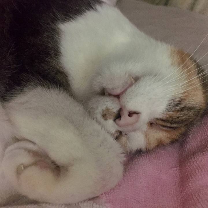 A6263a00 e7e1 453b b3d2 1018de91455f