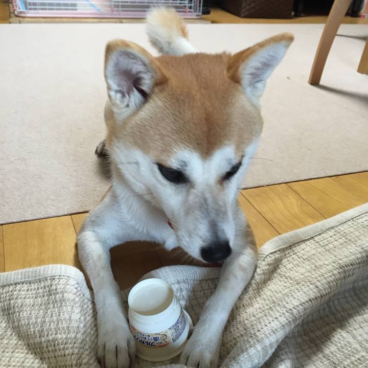 A6266657 39b2 4d52 9591 8b4213a71311