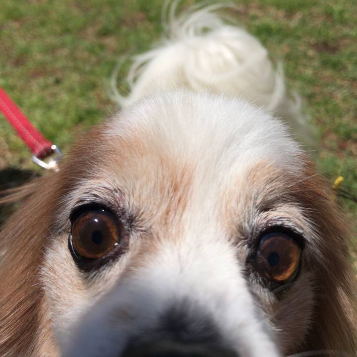 A626b9e5 535f 4357 96b3 5a4f3b2d41a2