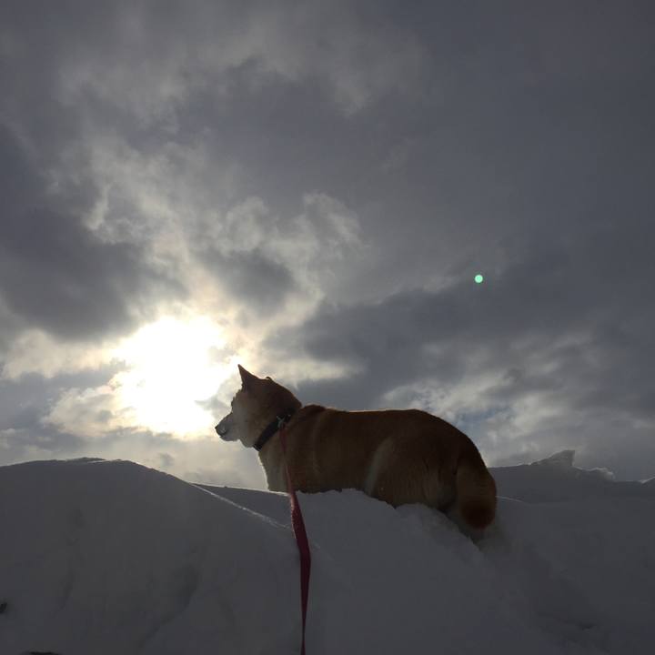 A62700de 2985 4aa4 bcb6 b832f3135051