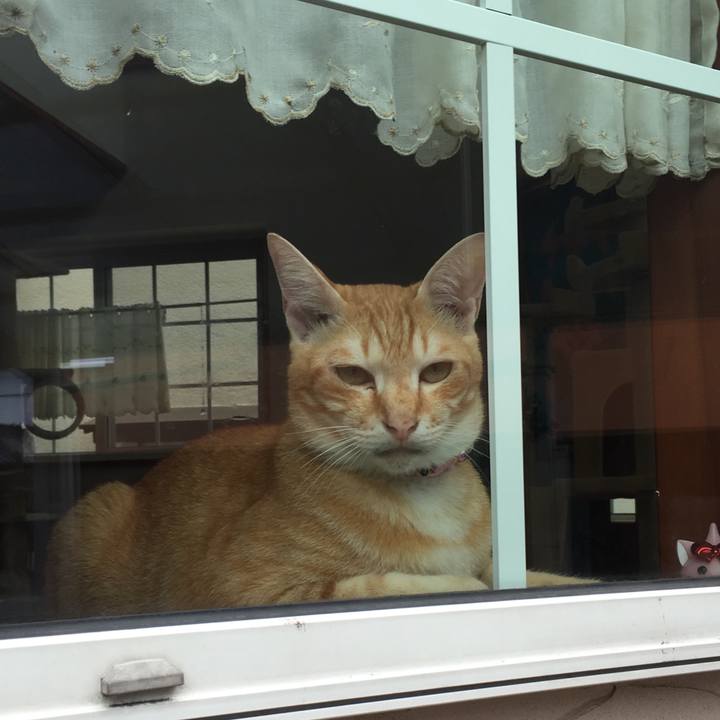 A627aa7d 57f5 4d3e 85f8 e1e810013b31