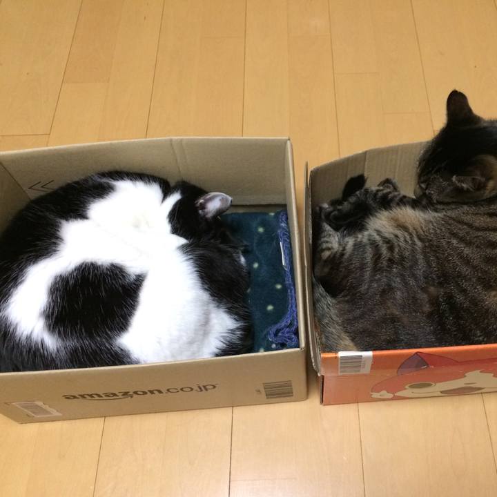 A627b59f 238d 4635 911f b178bb2341bd