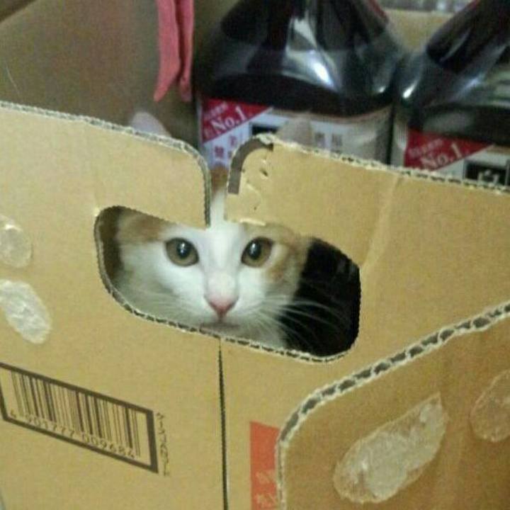 A627ec30 dbd0 4dfa 89e0 4db2228ef289