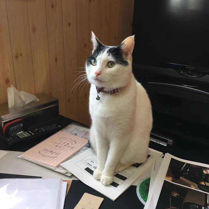 A627f3e6 a86d 4453 9b42 45f4c927da84