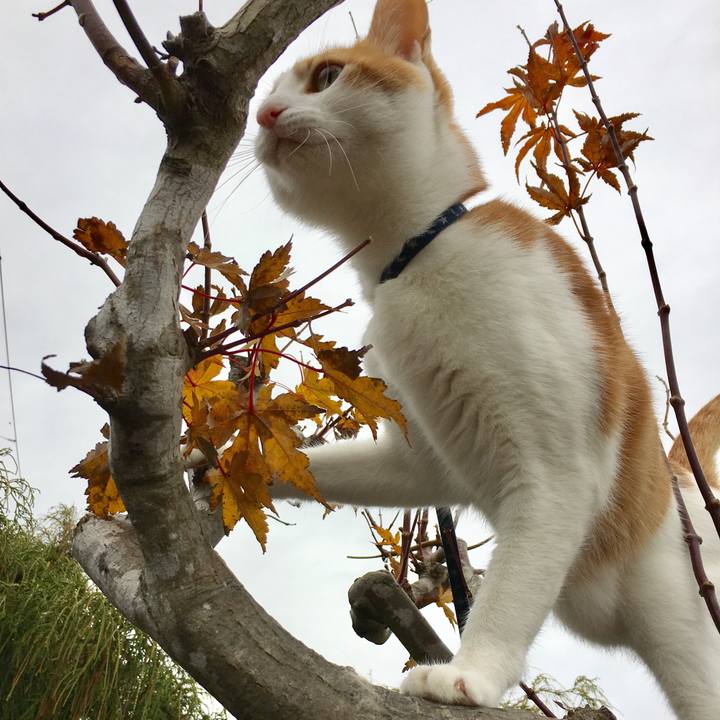 A628a69b f038 411d 9924 b2fc7611dd94