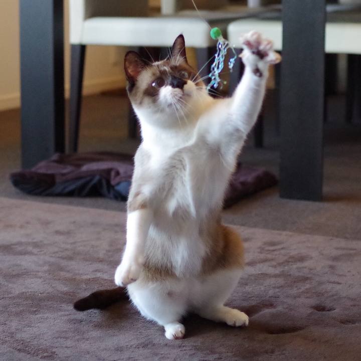 A6298b0e 39ea 4dc2 a835 479cb09143a7