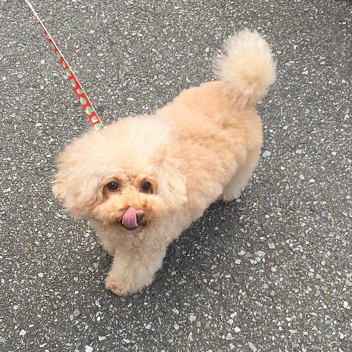 A629e5c6 c2f2 4bd5 8dd7 dea497db4eca