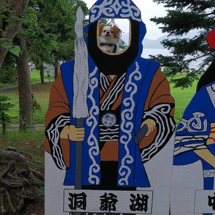 A62acef3 df65 4202 b7cb 4e10660d4760