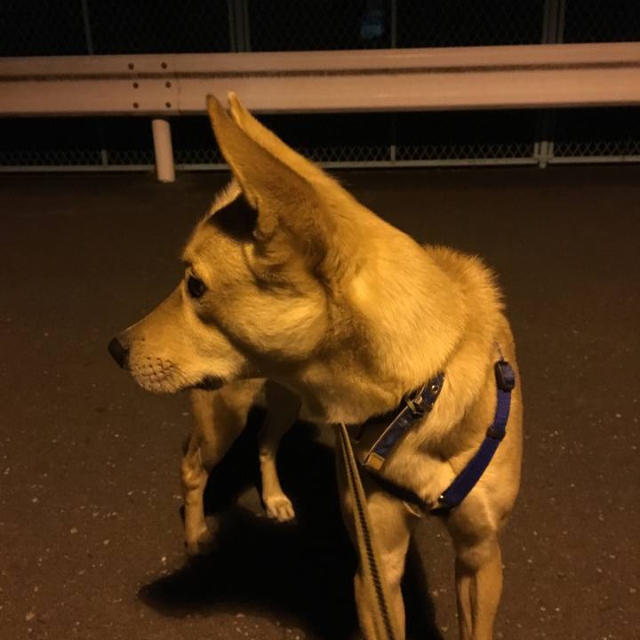 A62bf12e 34b7 4d71 8fa0 7992c9ac359e