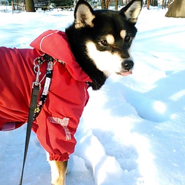 A62c0b8b 9f9f 4cda 83a4 2f7f05a3cf41