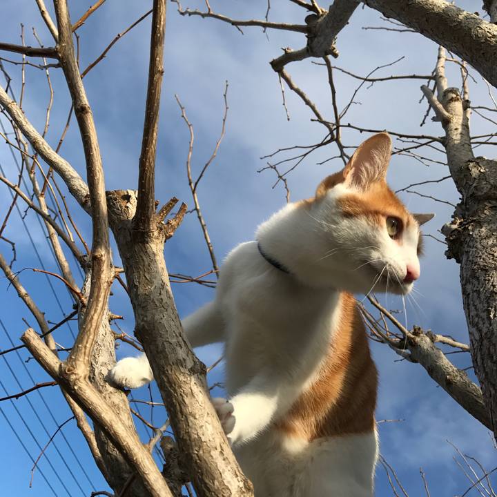 A62ccb39 11a9 4e25 9646 ce8d49065d1f