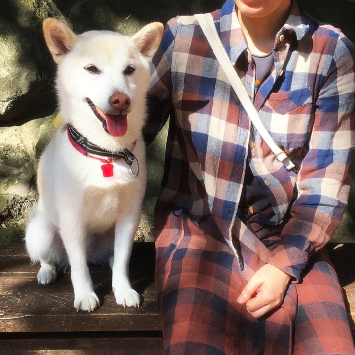 A62cee64 80bd 4362 8b81 28703c3b20b2