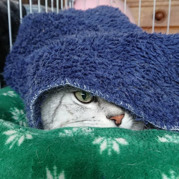 A62d01ef b852 42ae 8f1f 153030b88271