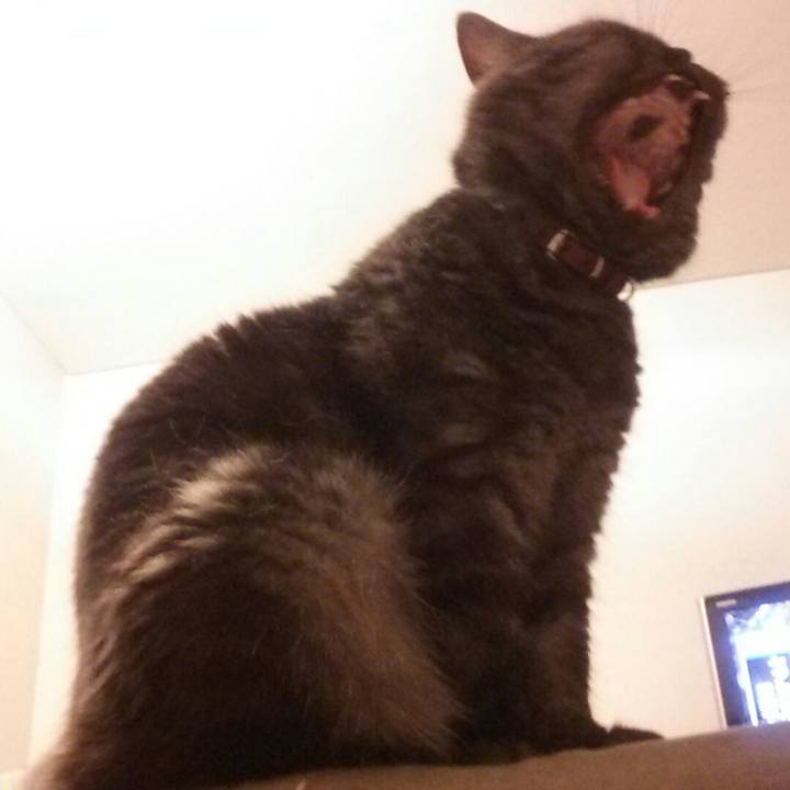 A62da4d1 2319 4c10 8bc8 794ec3e5d539