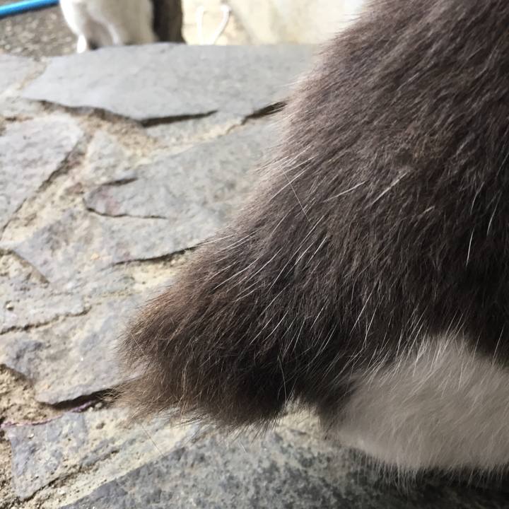 A62de7f4 ec80 429d b50e d4b34c953871