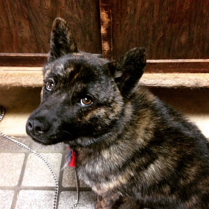 A62e3e5d 21dc 4fbe 83cc c97eb00825ee