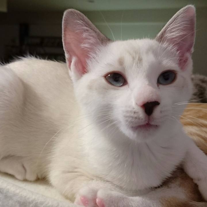 A62e8f1d f88b 41d5 a04e d4b140a5509e