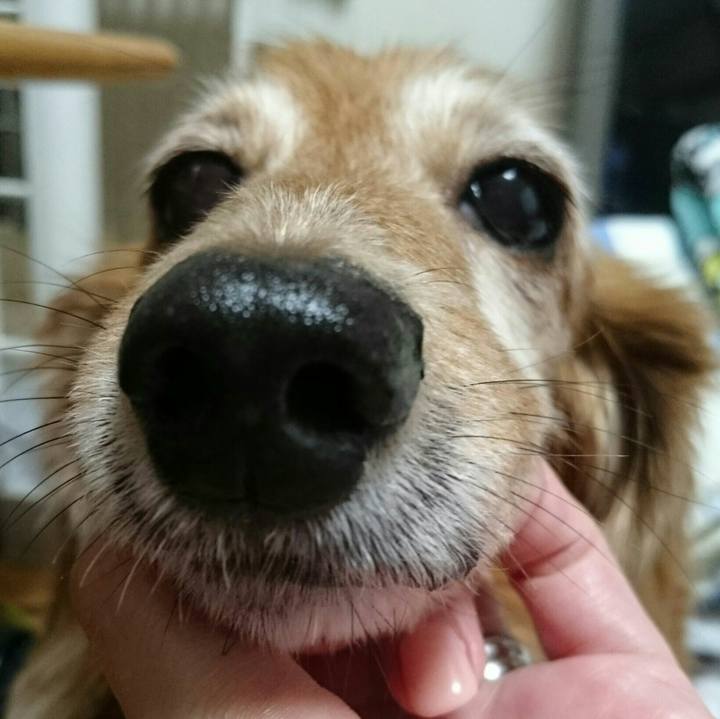 A62f9bca ba13 46cf 9685 dfe827fcc96c