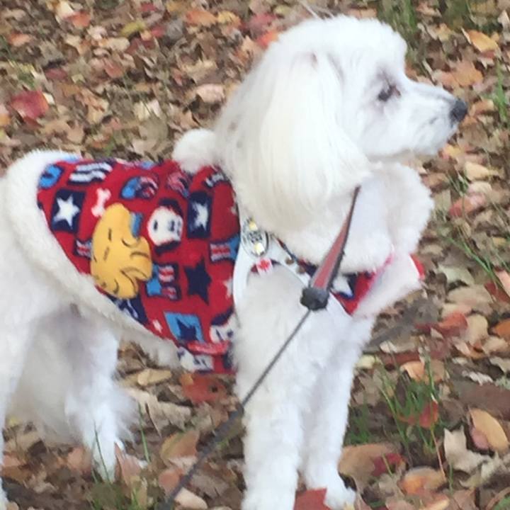 A62fdeef a6fa 4775 ab94 c994596e78a9