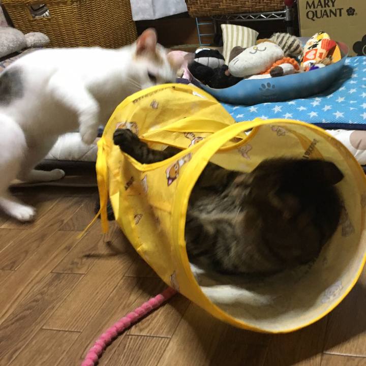 A62ffe12 408e 44ae ac63 b5c6cff2fe68