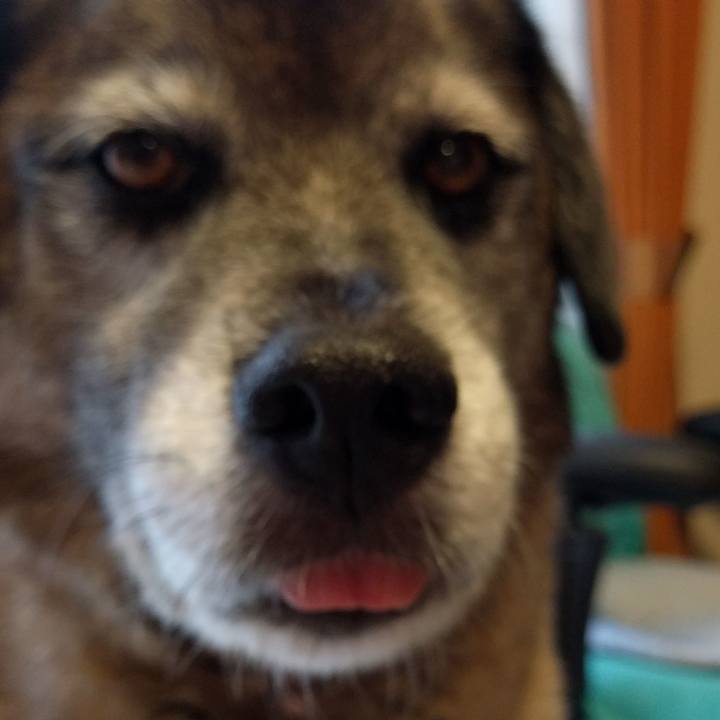 A6304b76 8340 4882 8388 dd4ace8cc58b