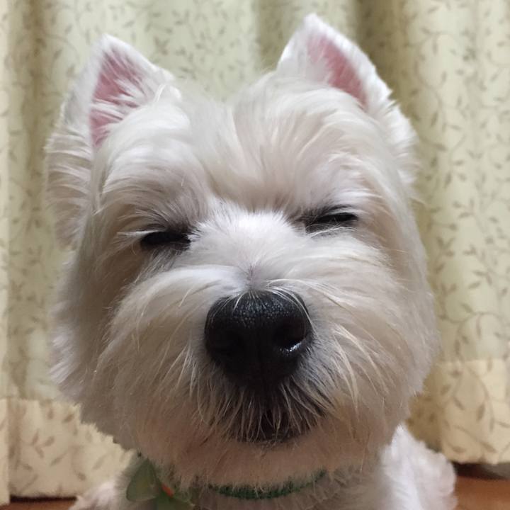 A6308b99 5fae 4ed6 b2c9 731e0929aace