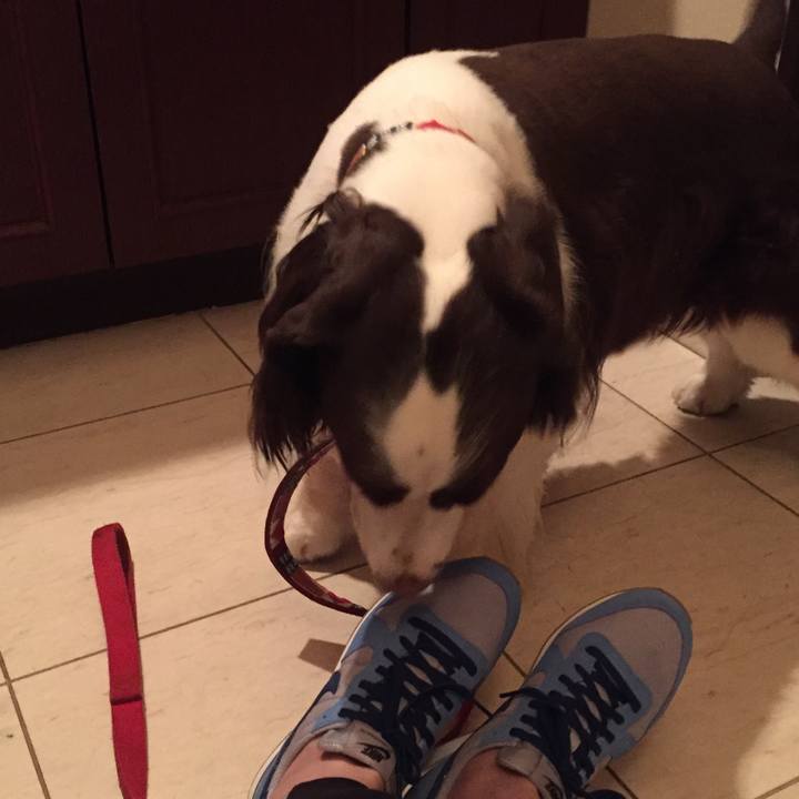 A631050f b2b1 41ba b1ed 1c5b6d320aed