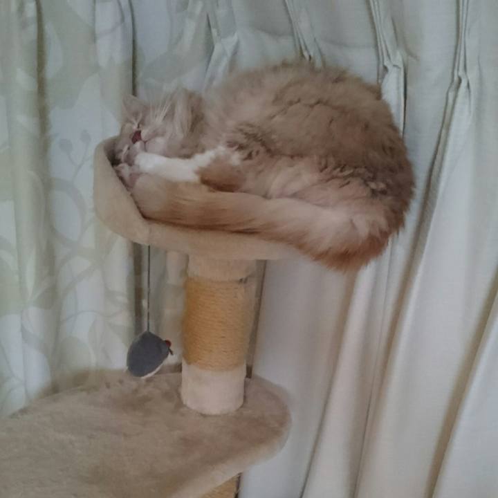 A6310c0d 9d5e 40b9 ae0a 955e894b0e7c