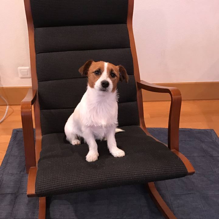 A6312186 ae26 46ad 90f8 60b6a55e0f03